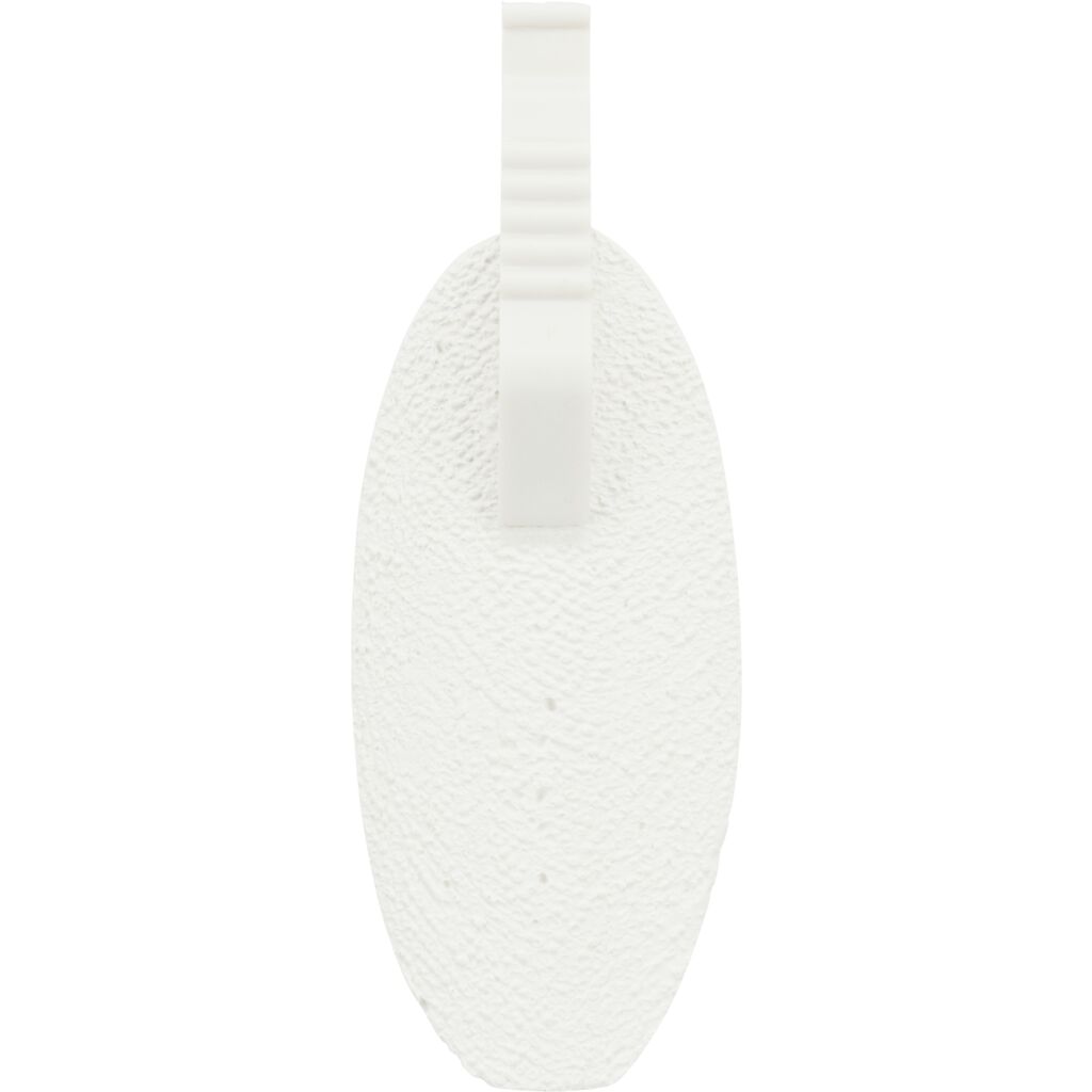 Calcium-Stein mit Sepia-Pfoten Feinstes