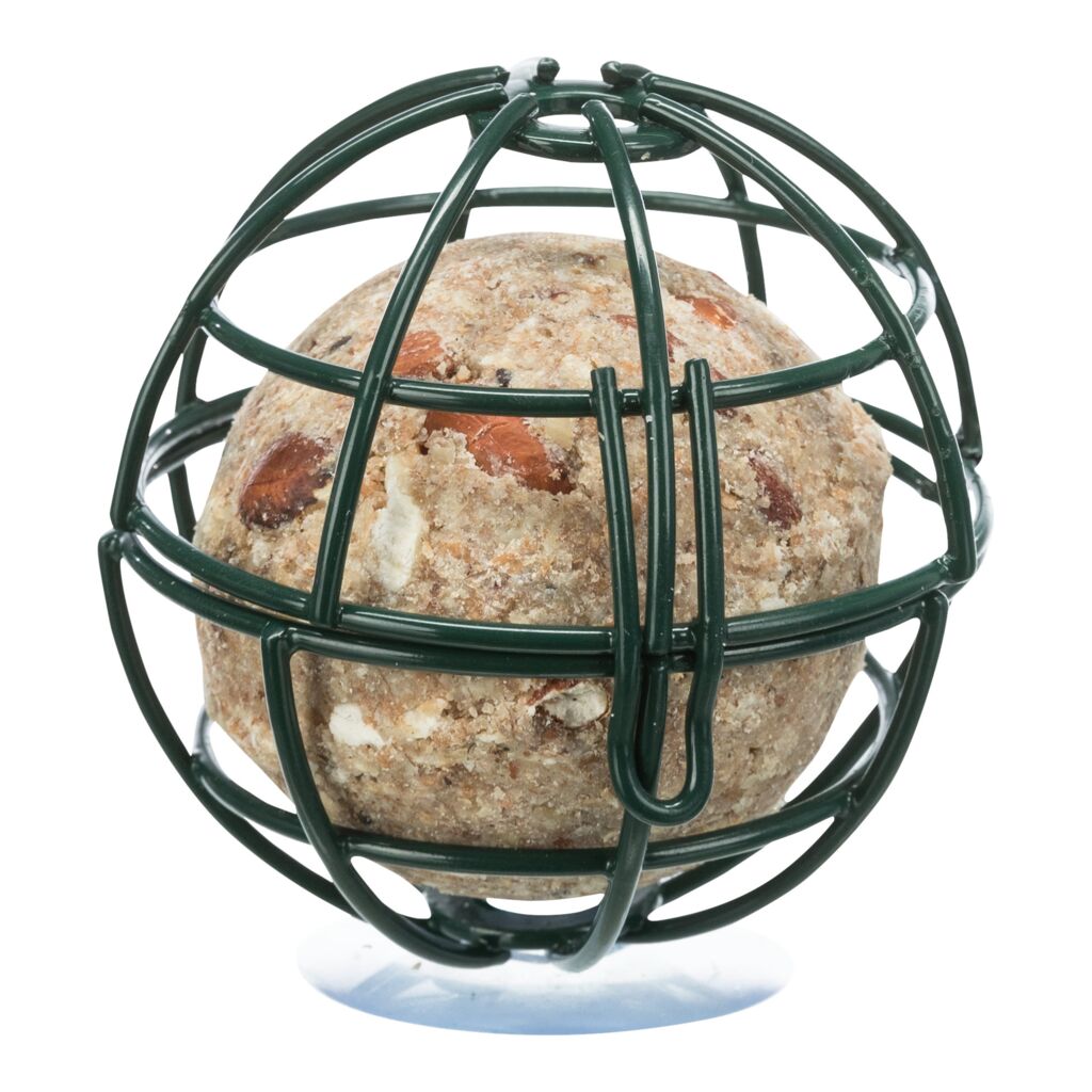 Meisenknödelhalter für Fensterscheibe-Pfoten Feinstes