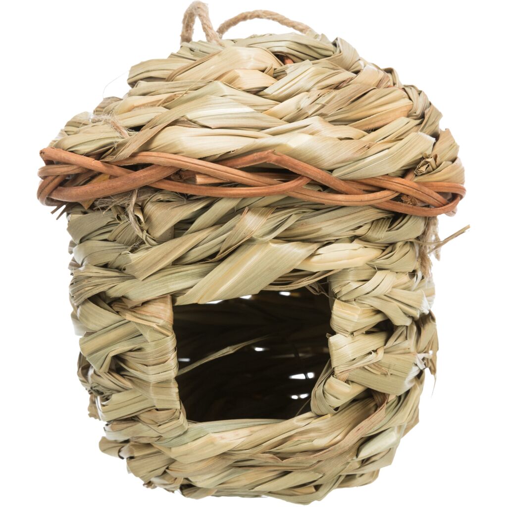 Grasnest-Pfoten Feinstes