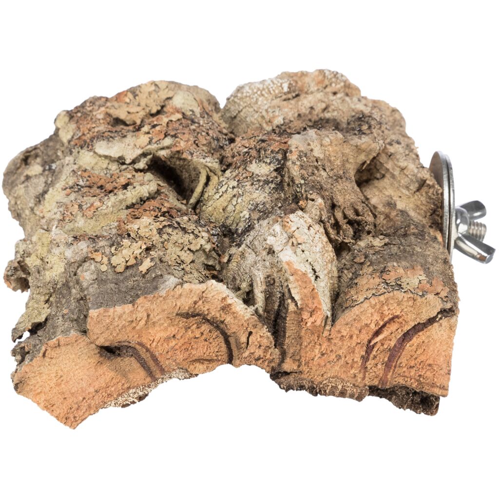 Plattform-Pfoten Feinstes