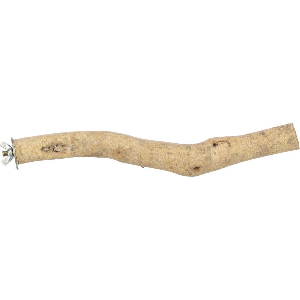 Sitzstange-Pfoten Feinstes