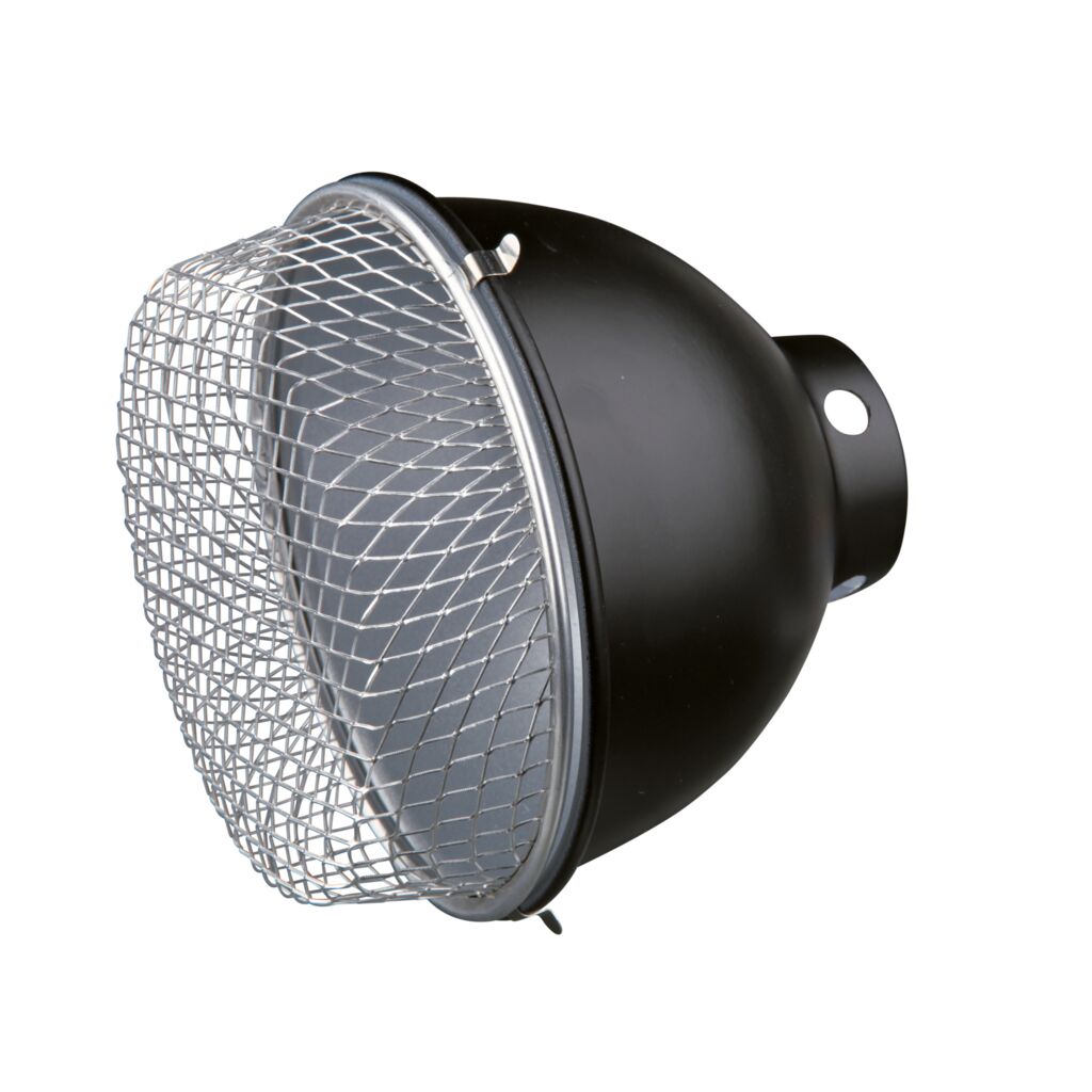 Reflektor-Set-Pfoten Feinstes