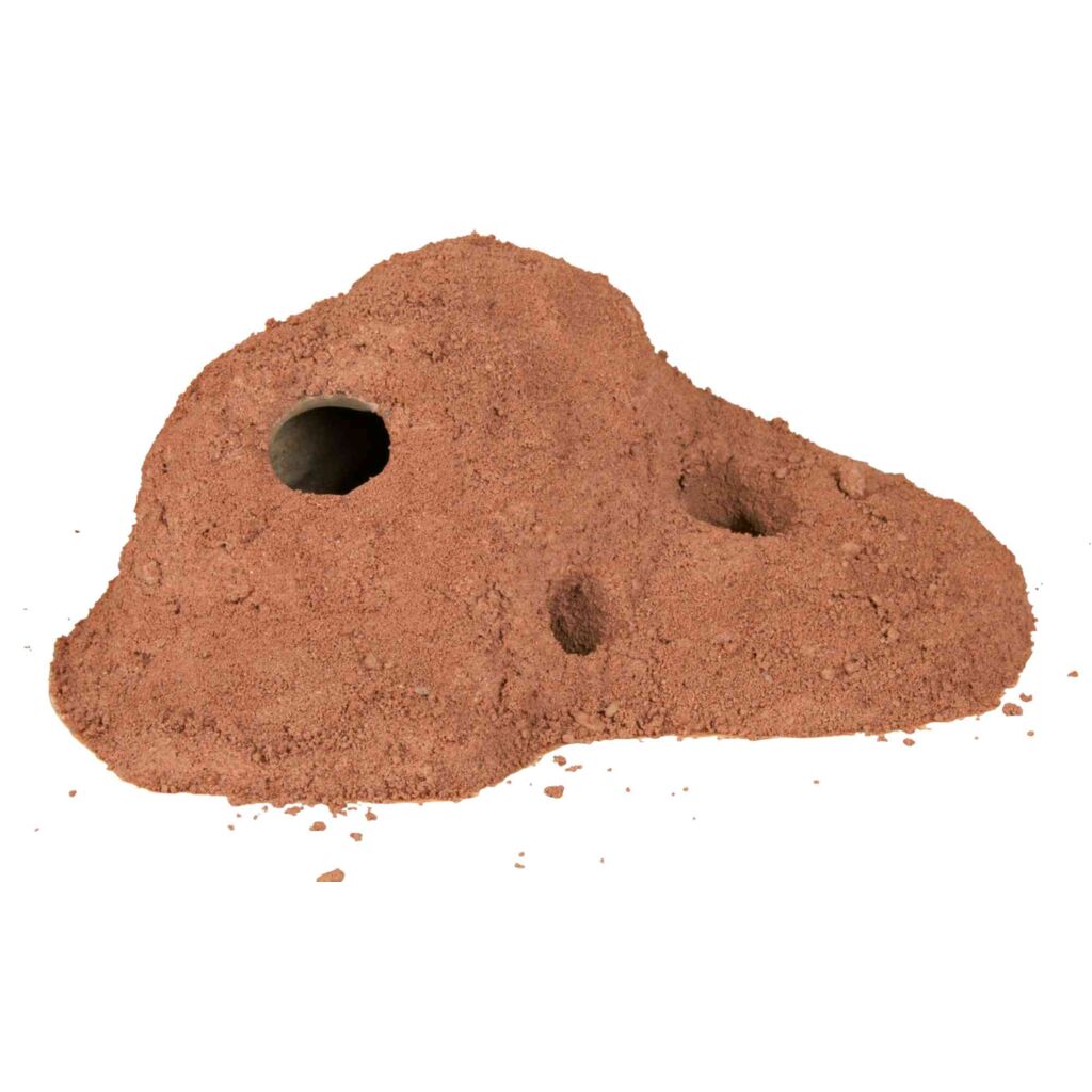 Höhlensand-Pfoten Feinstes
