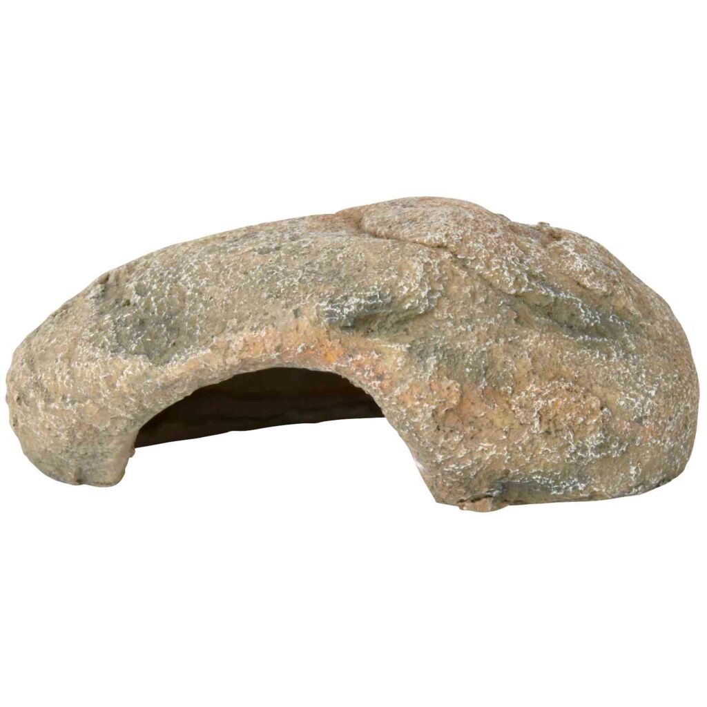 Reptilienhöhle-Pfoten Feinstes