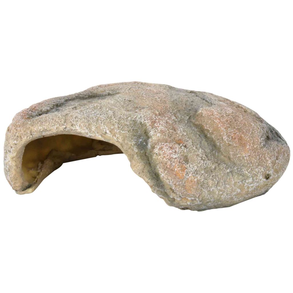 Reptilienhöhle-Pfoten Feinstes