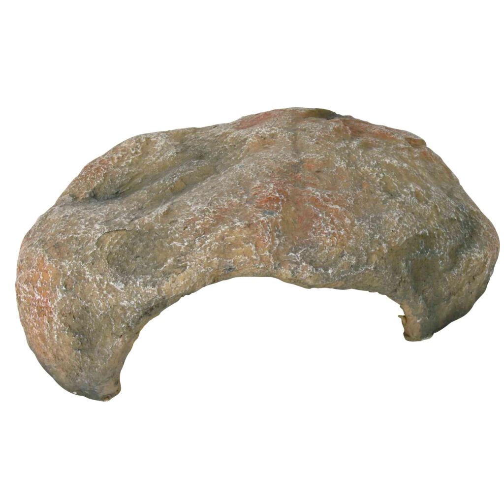 Reptilienhöhle-Pfoten Feinstes