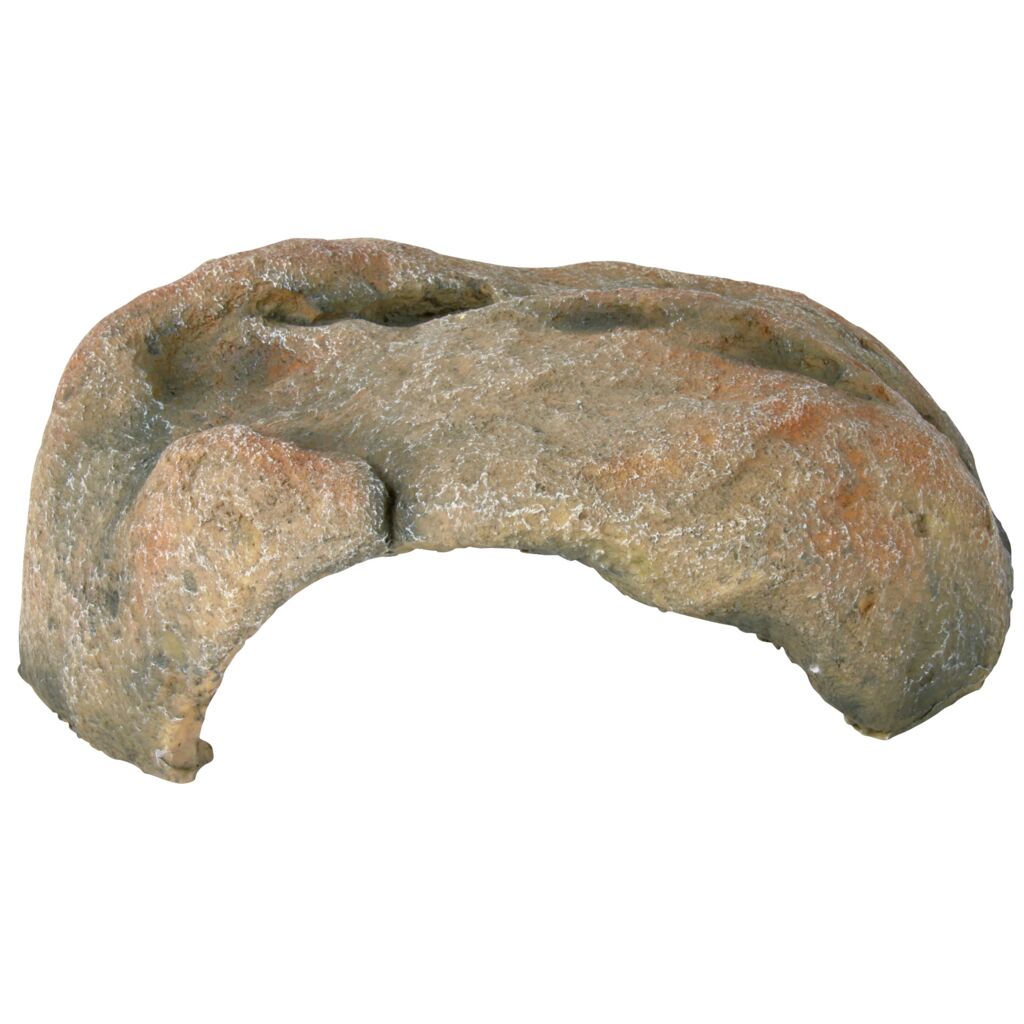 Reptilienhöhle-Pfoten Feinstes