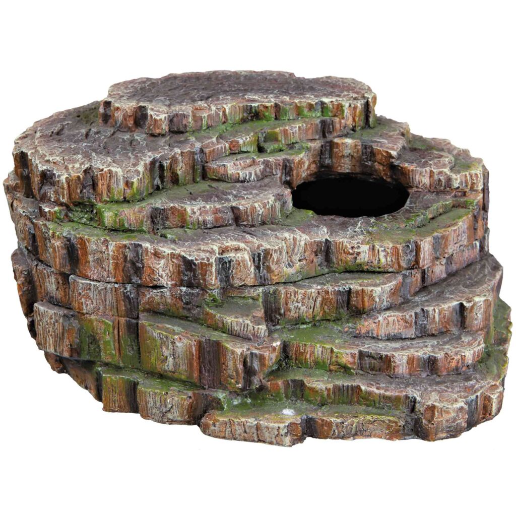 Schlangenhöhle-Pfoten Feinstes