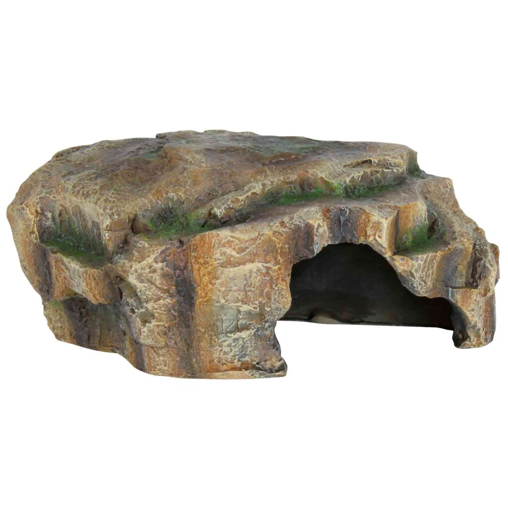 Reptilienhöhle-Pfoten Feinstes