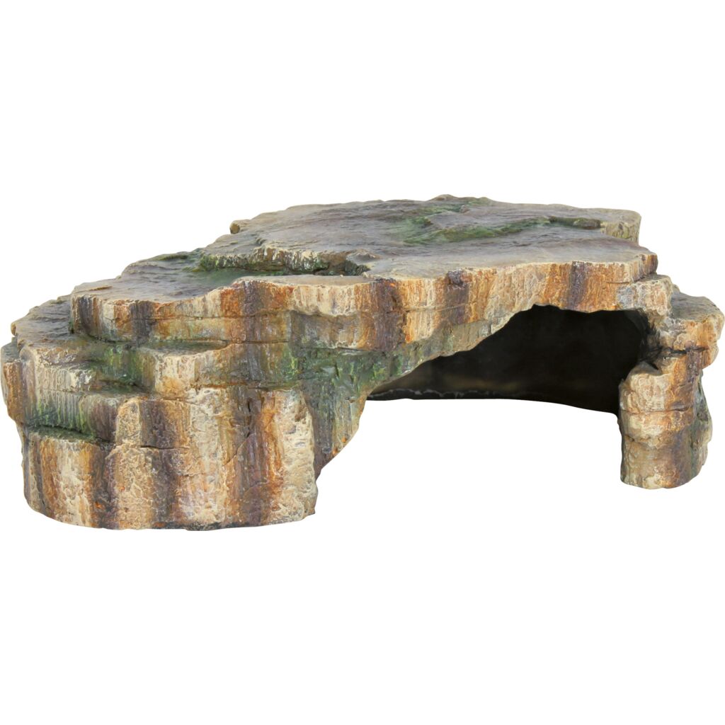 Reptilienhöhle-Pfoten Feinstes