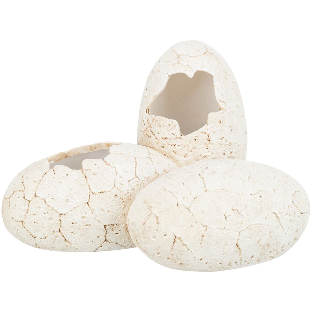 Reptilienhöhle, Eier-Pfoten Feinstes