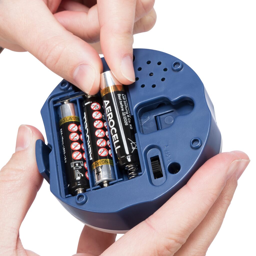 Memory Trainer 3.0 Strategiespiel-Pfoten Feinstes