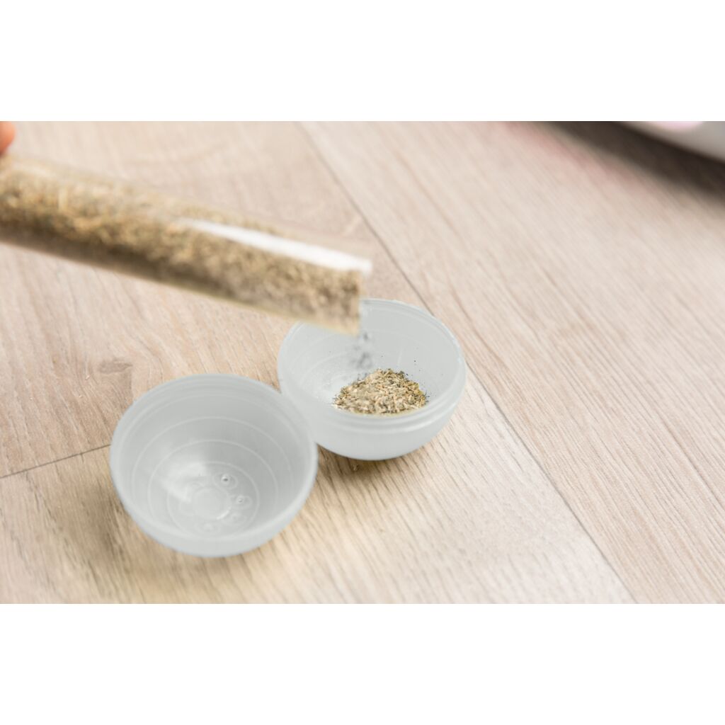 Race & Scratch-Pfoten Feinstes