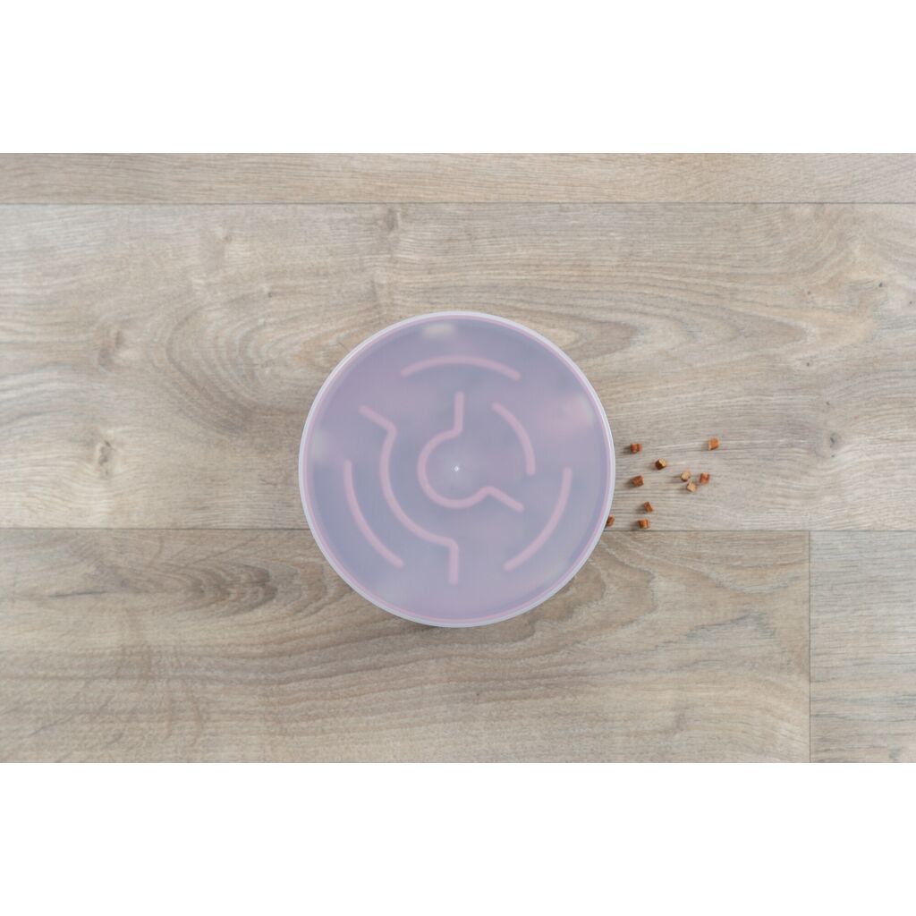 Rocking Maze-Pfoten Feinstes