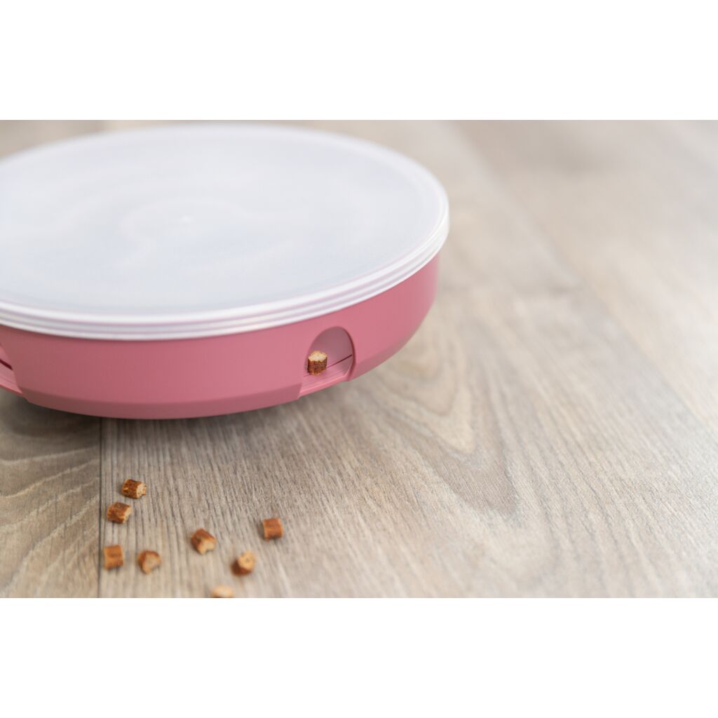 Rocking Maze-Pfoten Feinstes