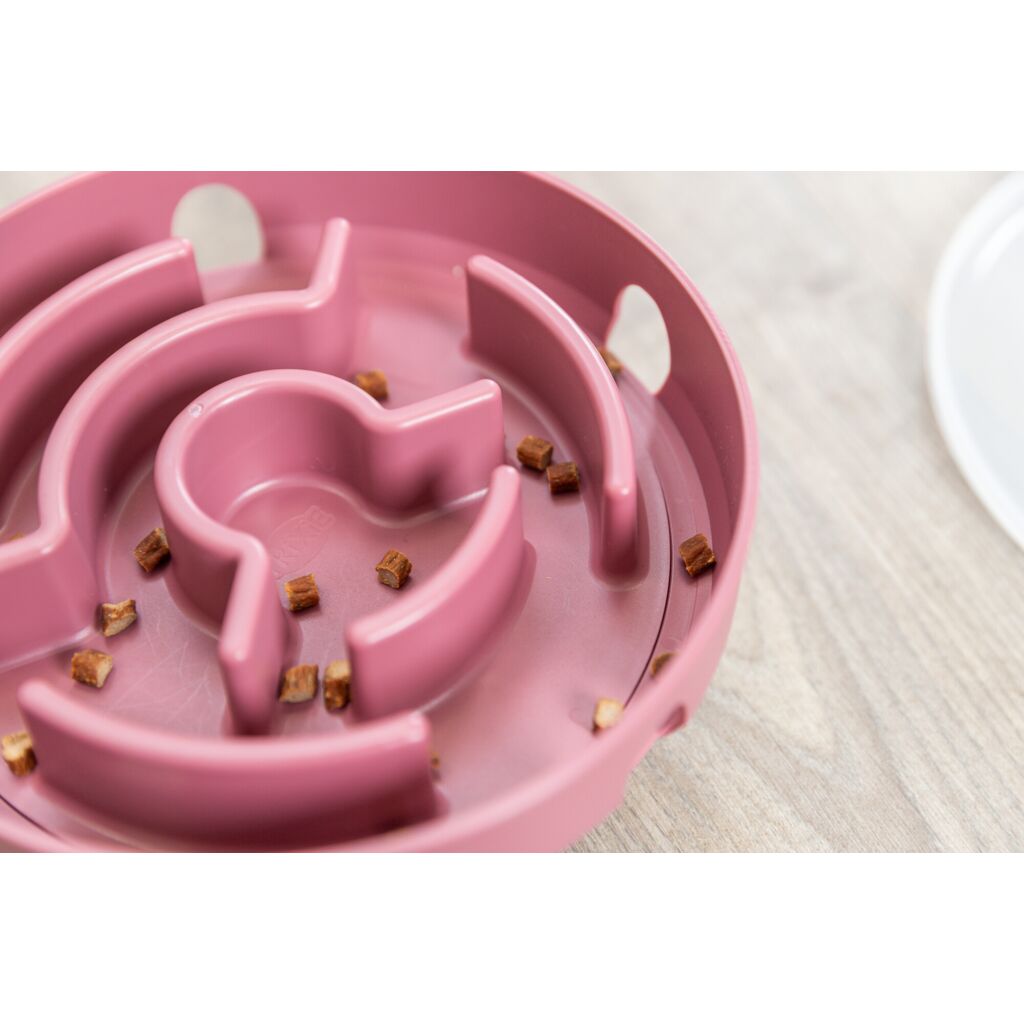 Rocking Maze-Pfoten Feinstes