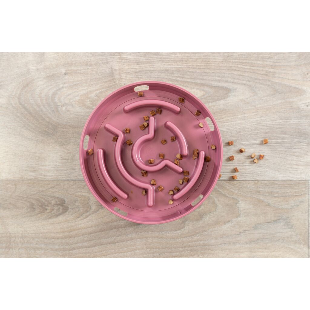 Rocking Maze-Pfoten Feinstes