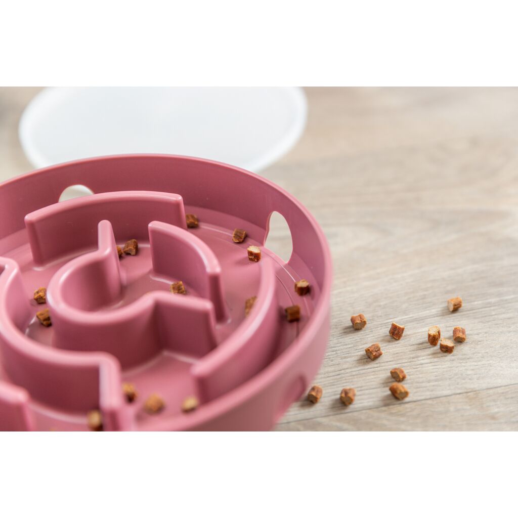 Rocking Maze-Pfoten Feinstes