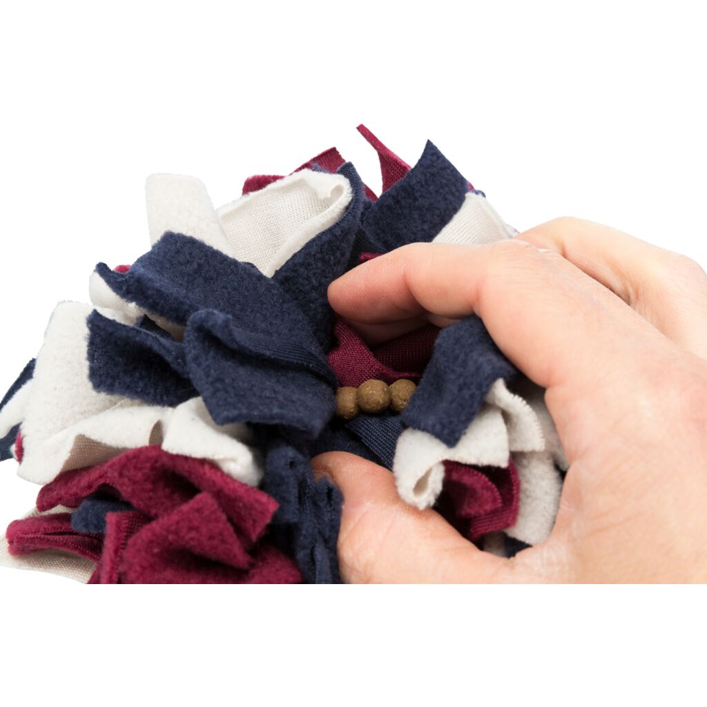 Schnüffelball-Pfoten Feinstes