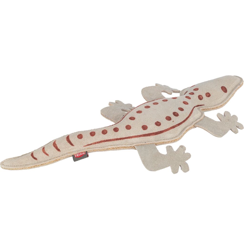 Salamander-Pfoten Feinstes