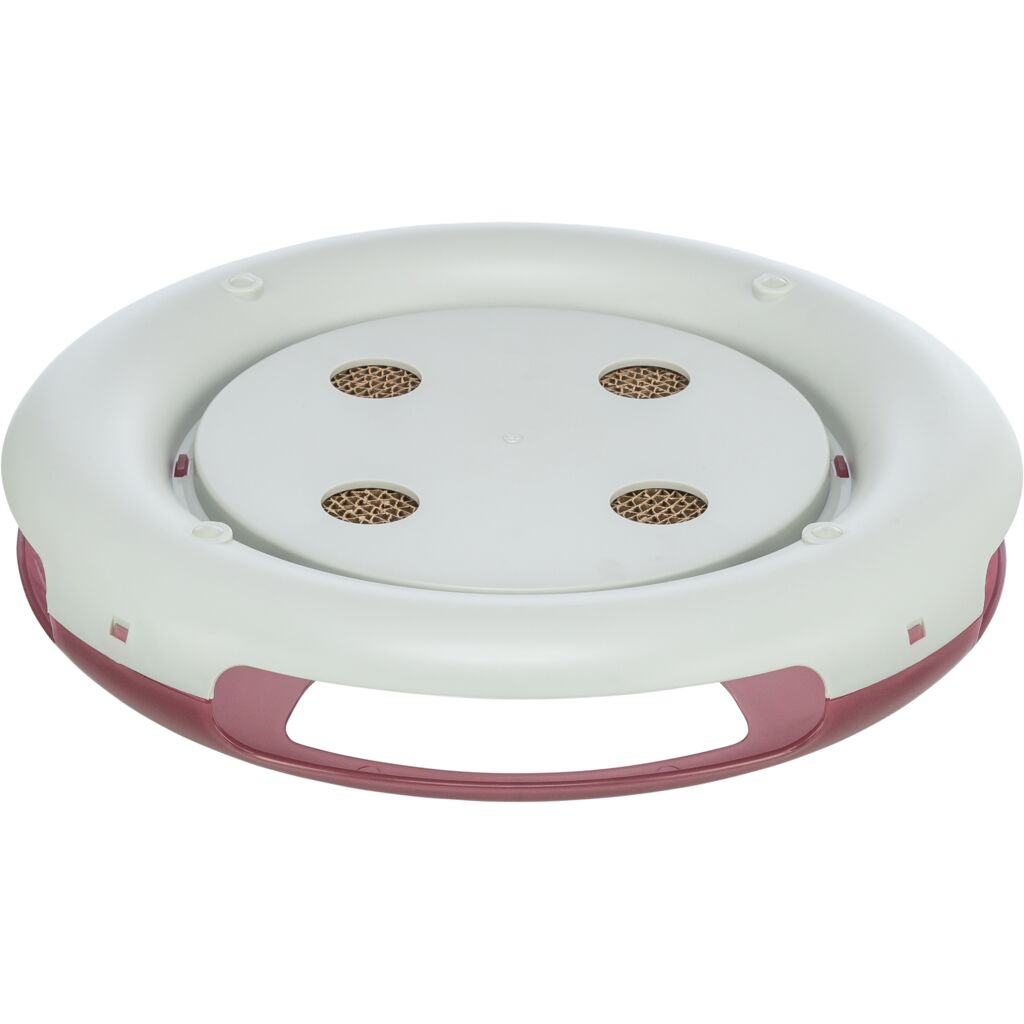 Race & Scratch-Pfoten Feinstes