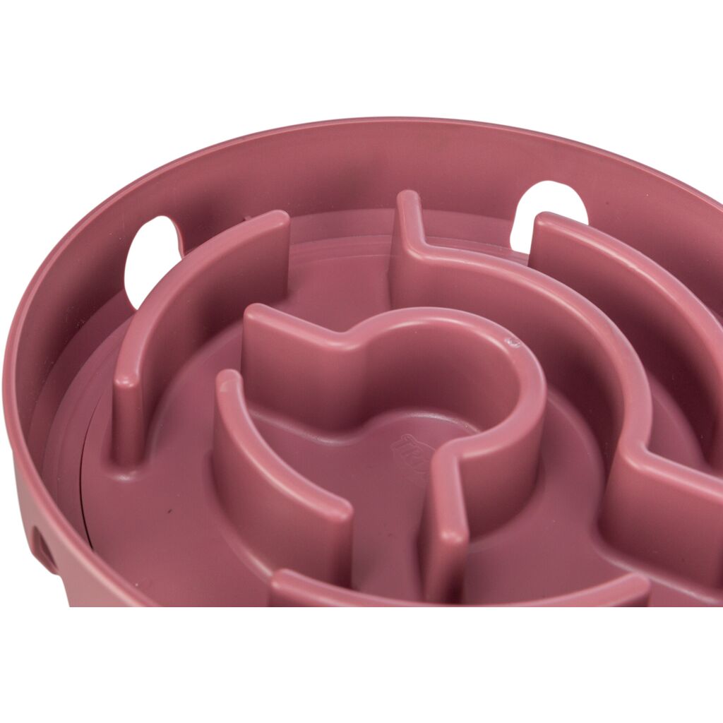 Rocking Maze-Pfoten Feinstes