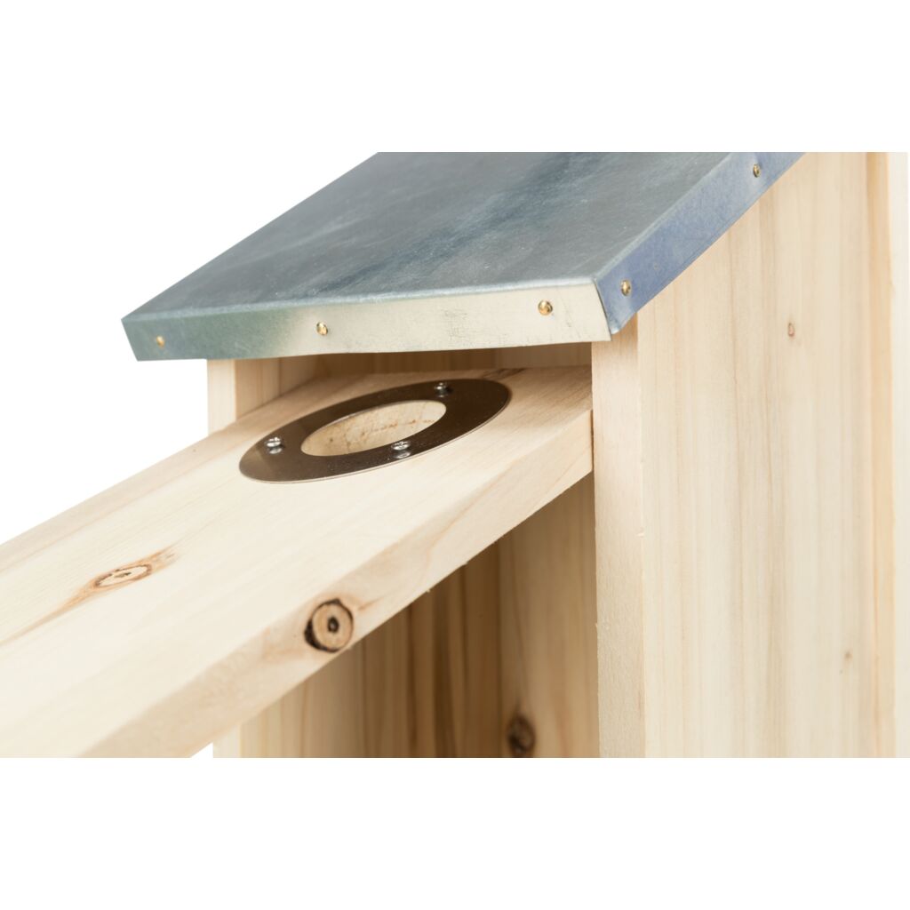 Nistkasten für Stare-Pfoten Feinstes