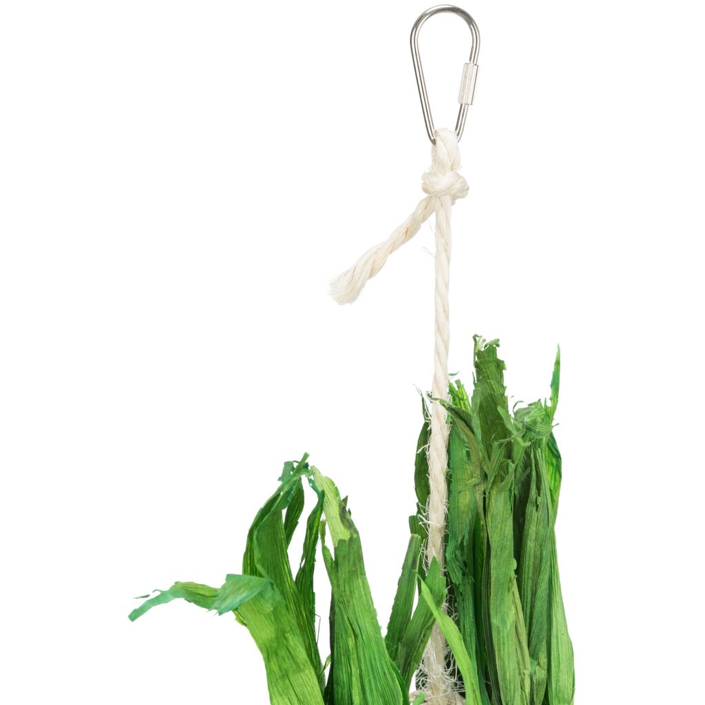 Kokosnuss am Sisalseil-Pfoten Feinstes