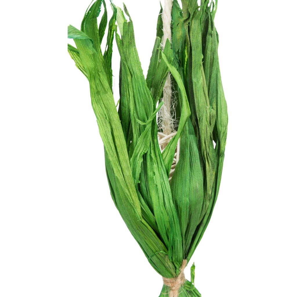 Kokosnuss am Sisalseil-Pfoten Feinstes