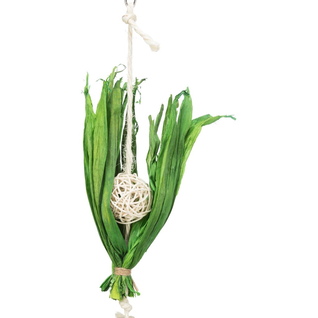 Kokosnuss am Sisalseil-Pfoten Feinstes