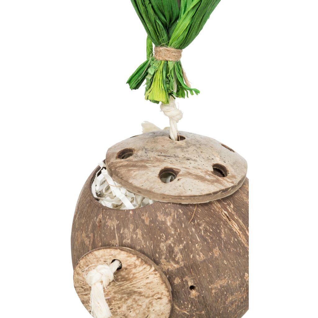 Kokosnuss am Sisalseil-Pfoten Feinstes