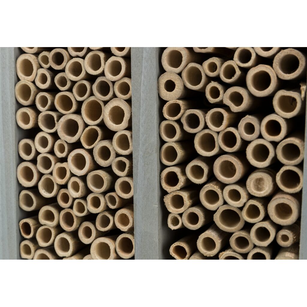 Bienenhotel-Pfoten Feinstes
