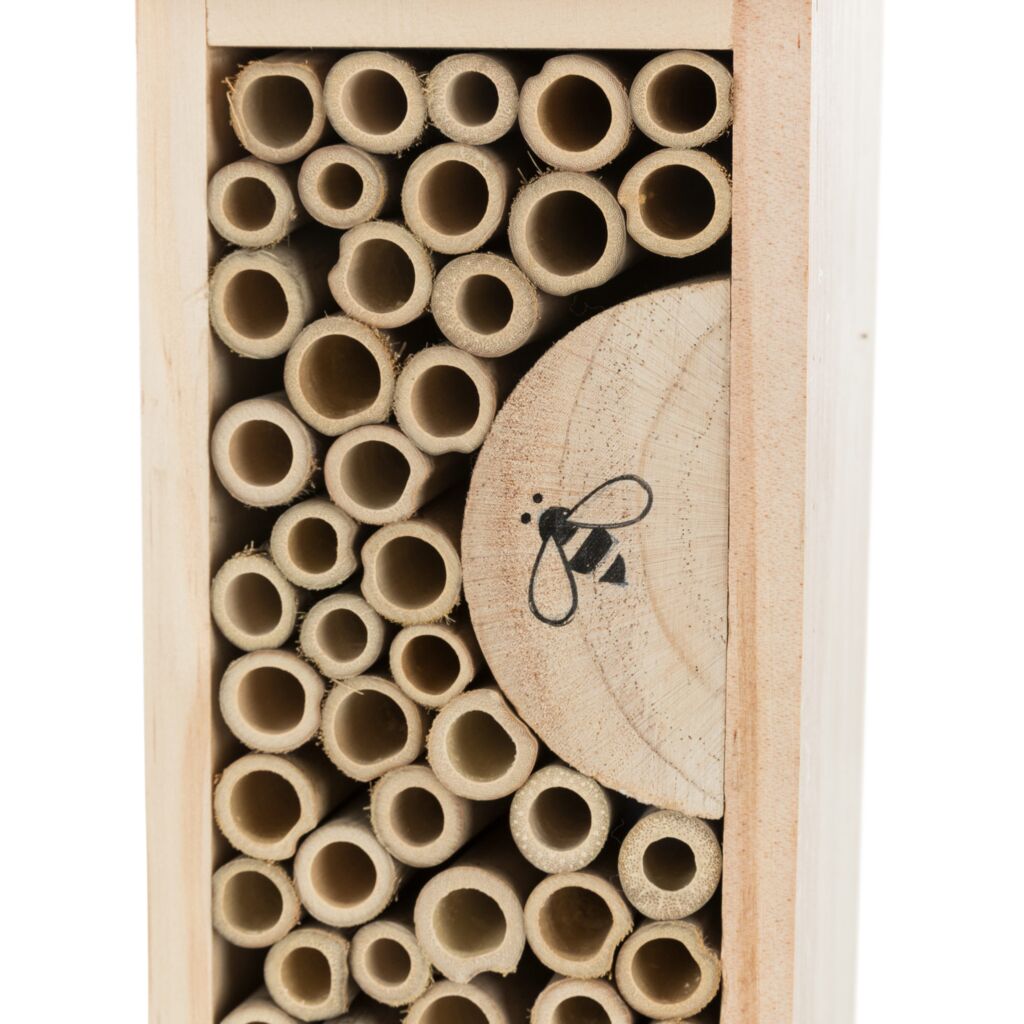 Bienenhotel-Pfoten Feinstes
