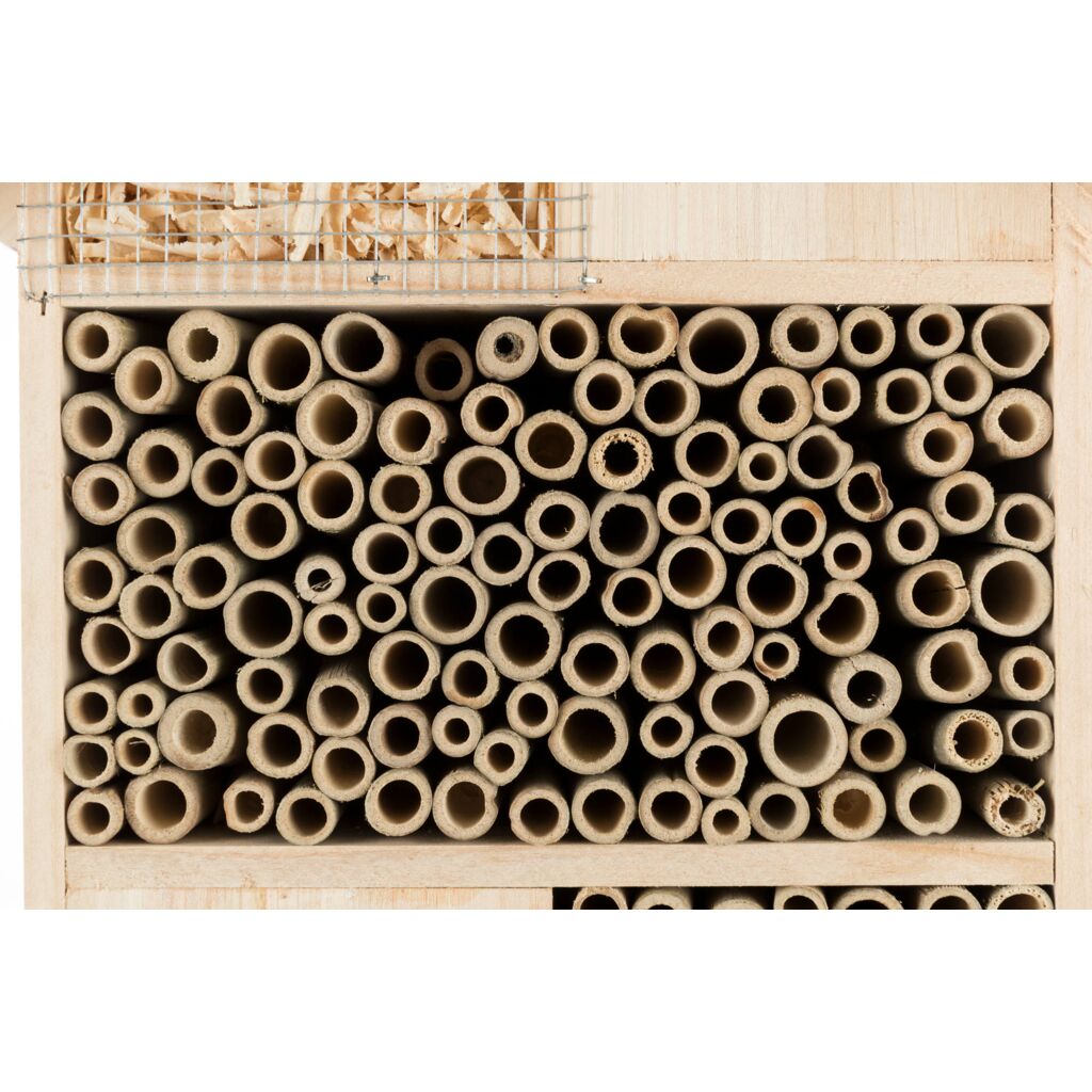 Insektenhotel-Pfoten Feinstes