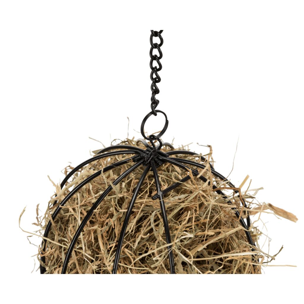 Food-Ball-Pfoten Feinstes