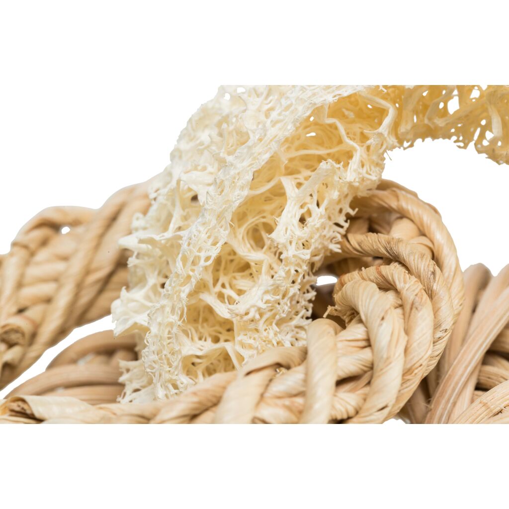 Luffa-Spielzeug-Pfoten Feinstes