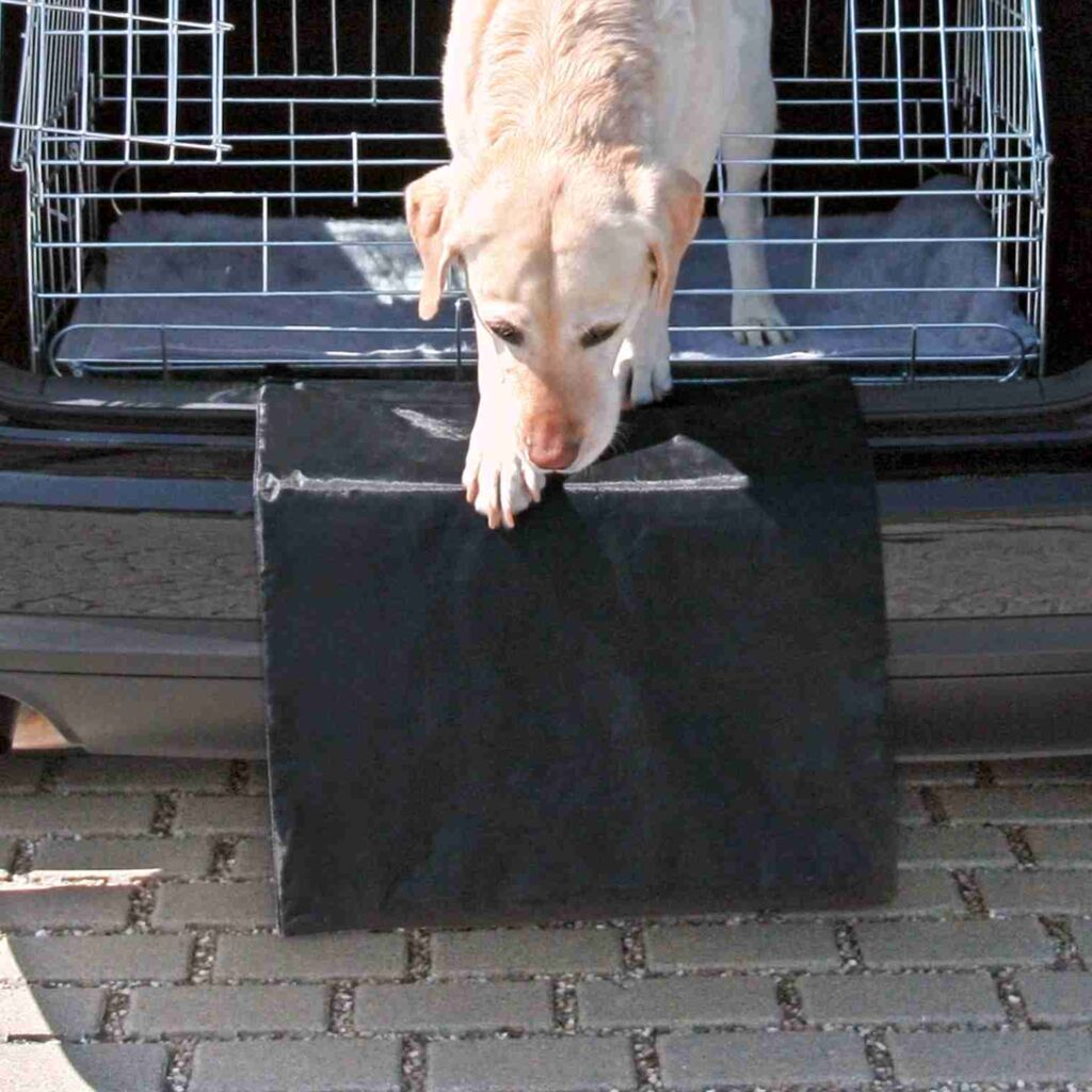 Stoßstangen-Schutz-Pfoten Feinstes