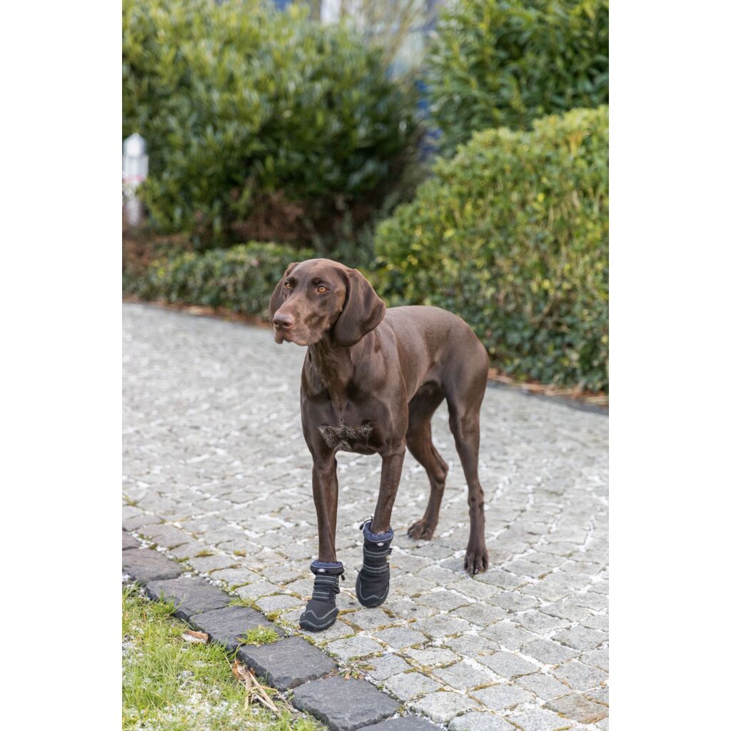 Pfotenschutz Walker Active Long-Pfoten Feinstes