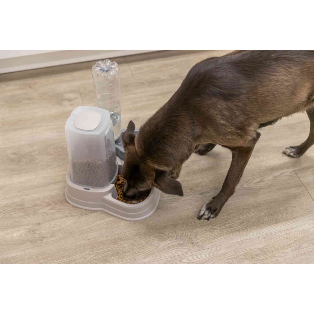 Futter- und Wasserspender-Pfoten Feinstes