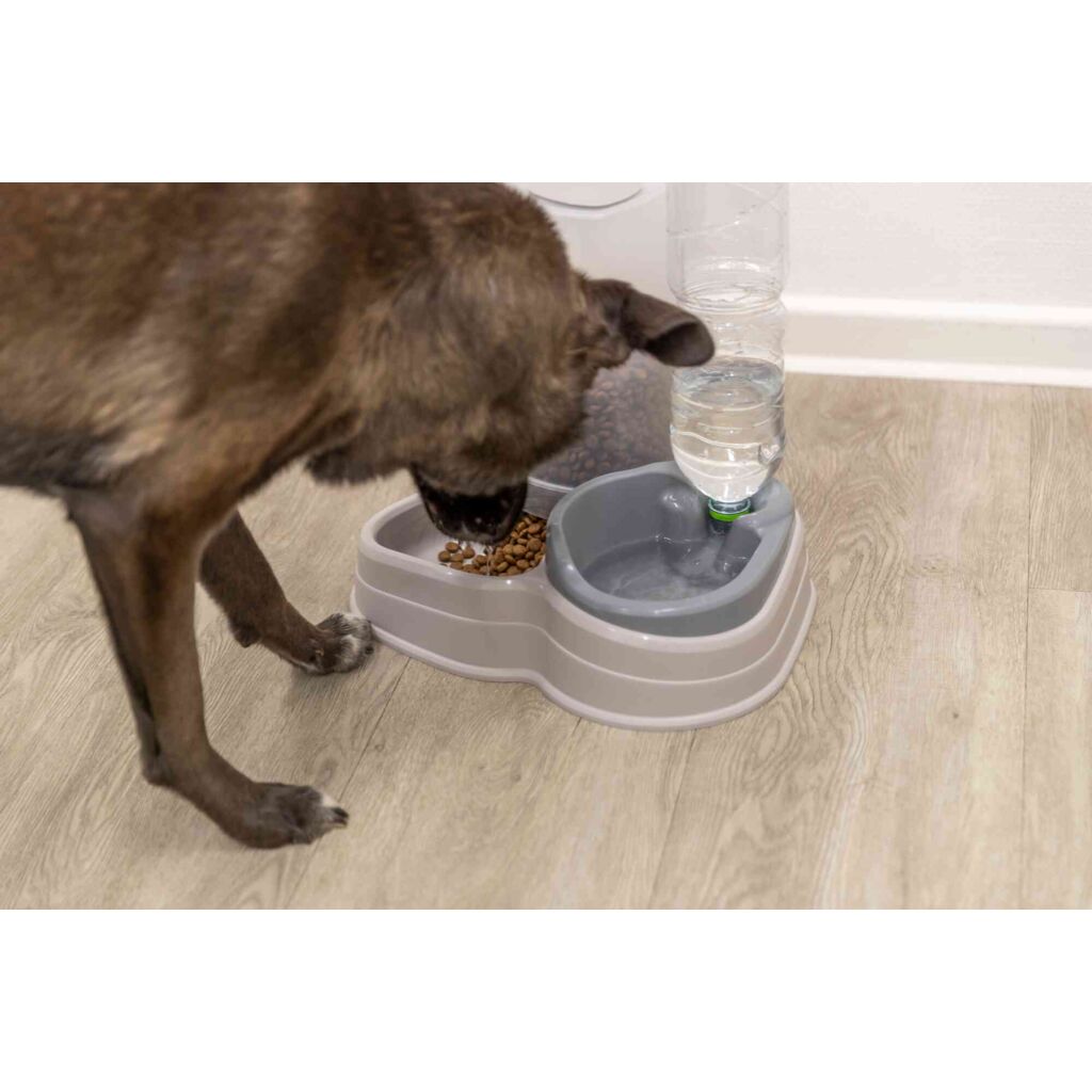 Futter- und Wasserspender-Pfoten Feinstes