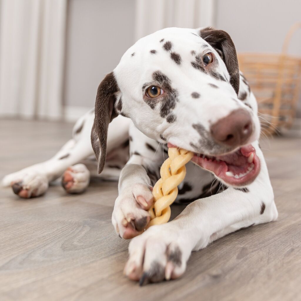 Büffelkopfhaut-Pfoten Feinstes
