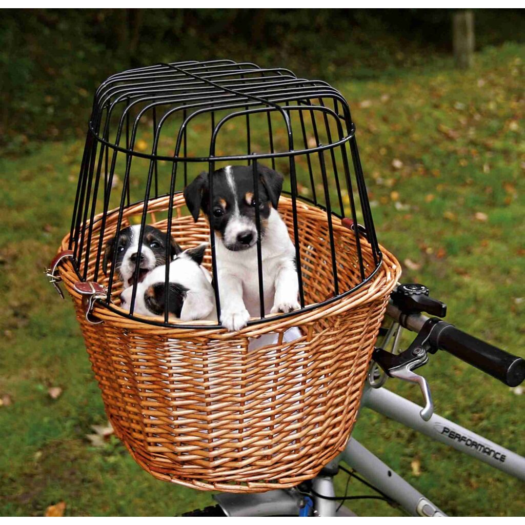 Front-Hundefahrradkorb-Pfoten Feinstes
