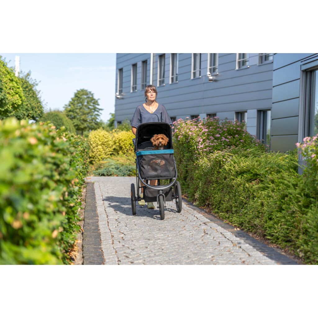Buggy-Pfoten Feinstes