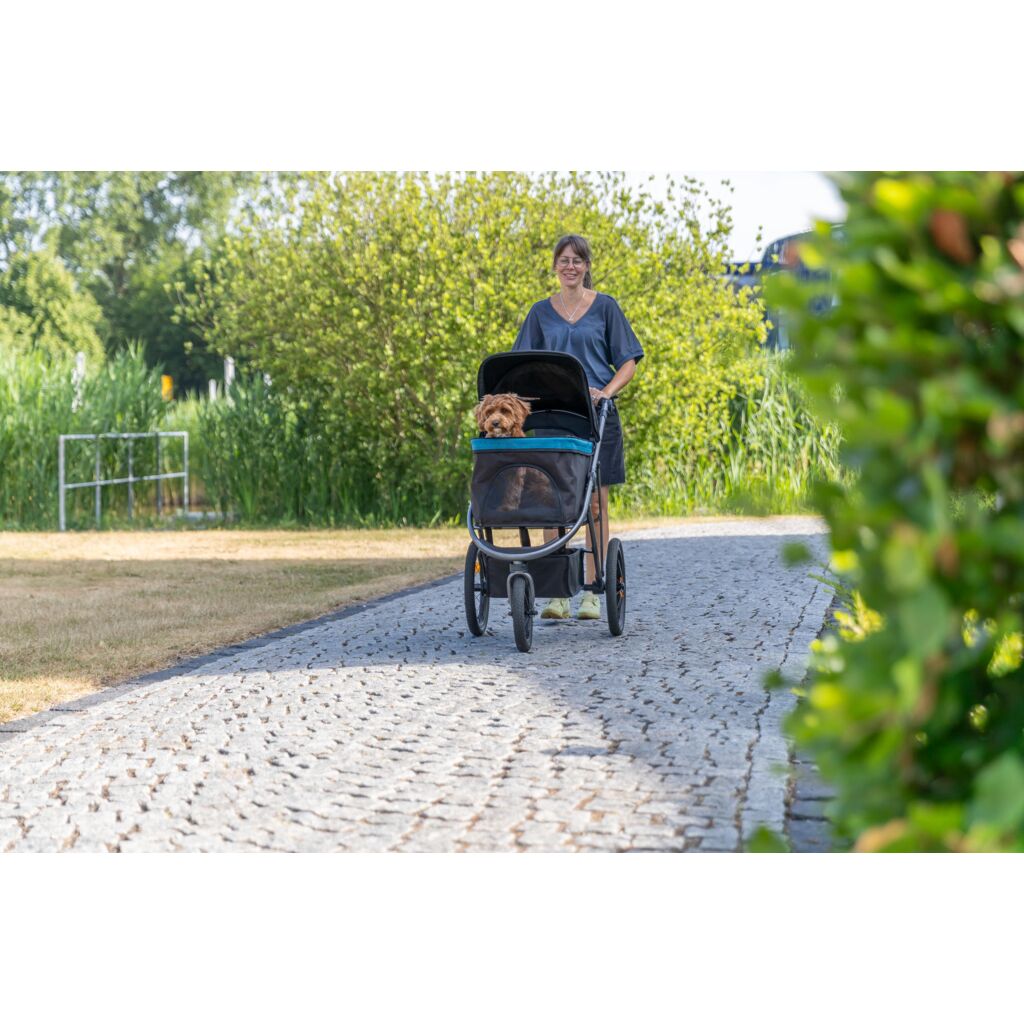 Buggy-Pfoten Feinstes