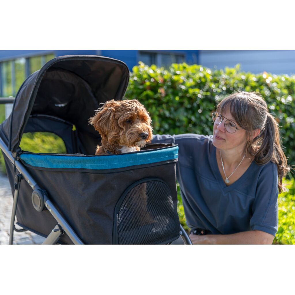 Buggy-Pfoten Feinstes