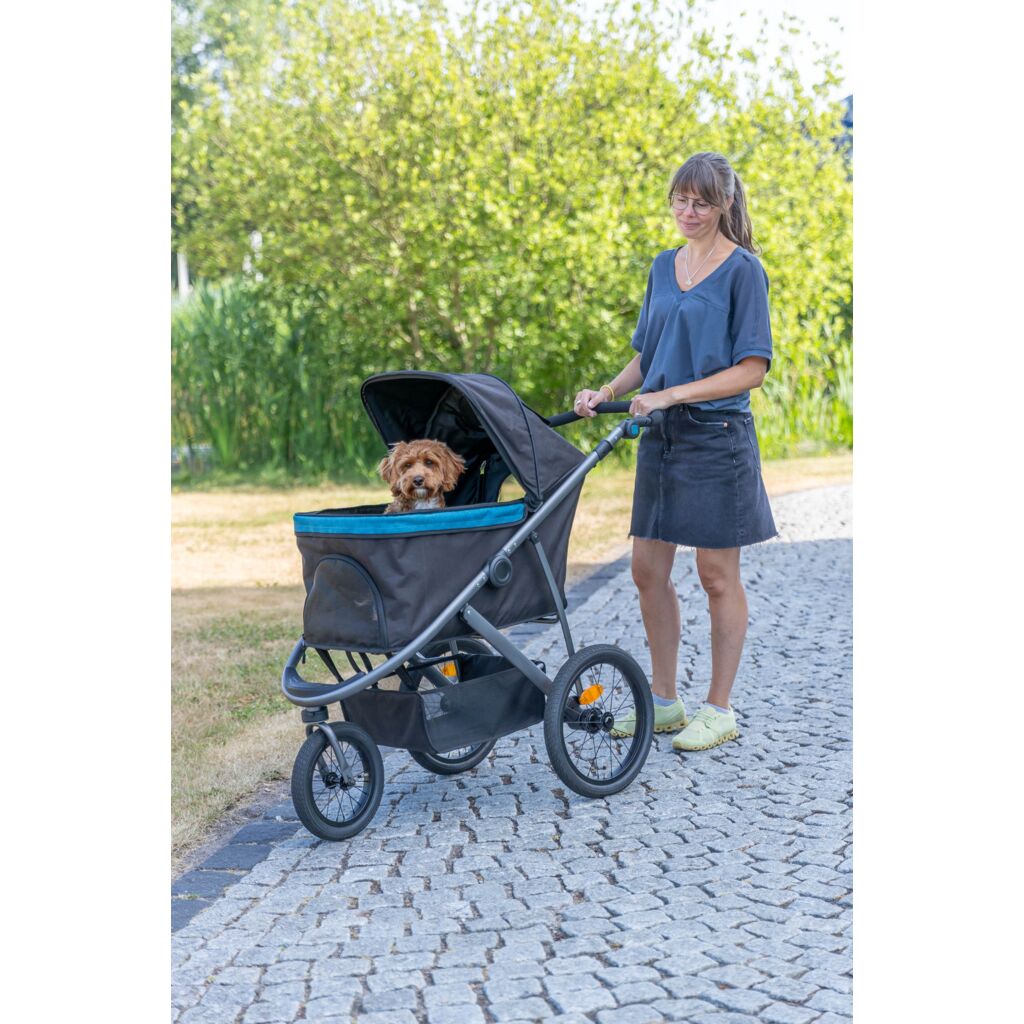 Buggy-Pfoten Feinstes