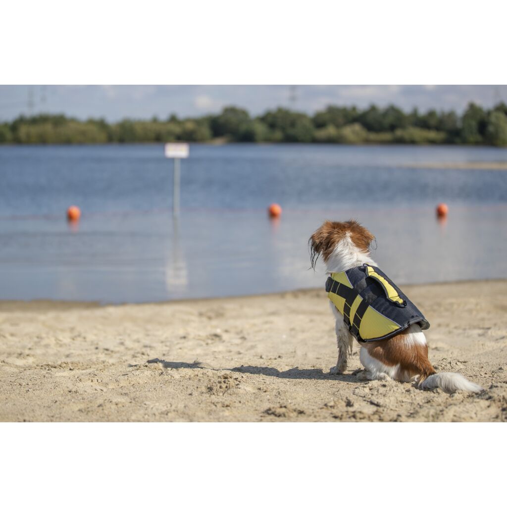 Schwimmweste für Hunde-Pfoten Feinstes