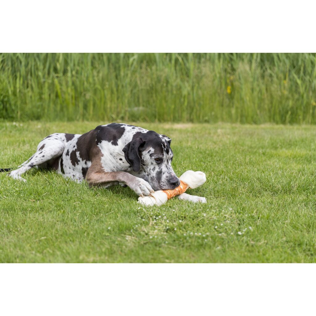 Mega Knot mit Huhn-Pfoten Feinstes