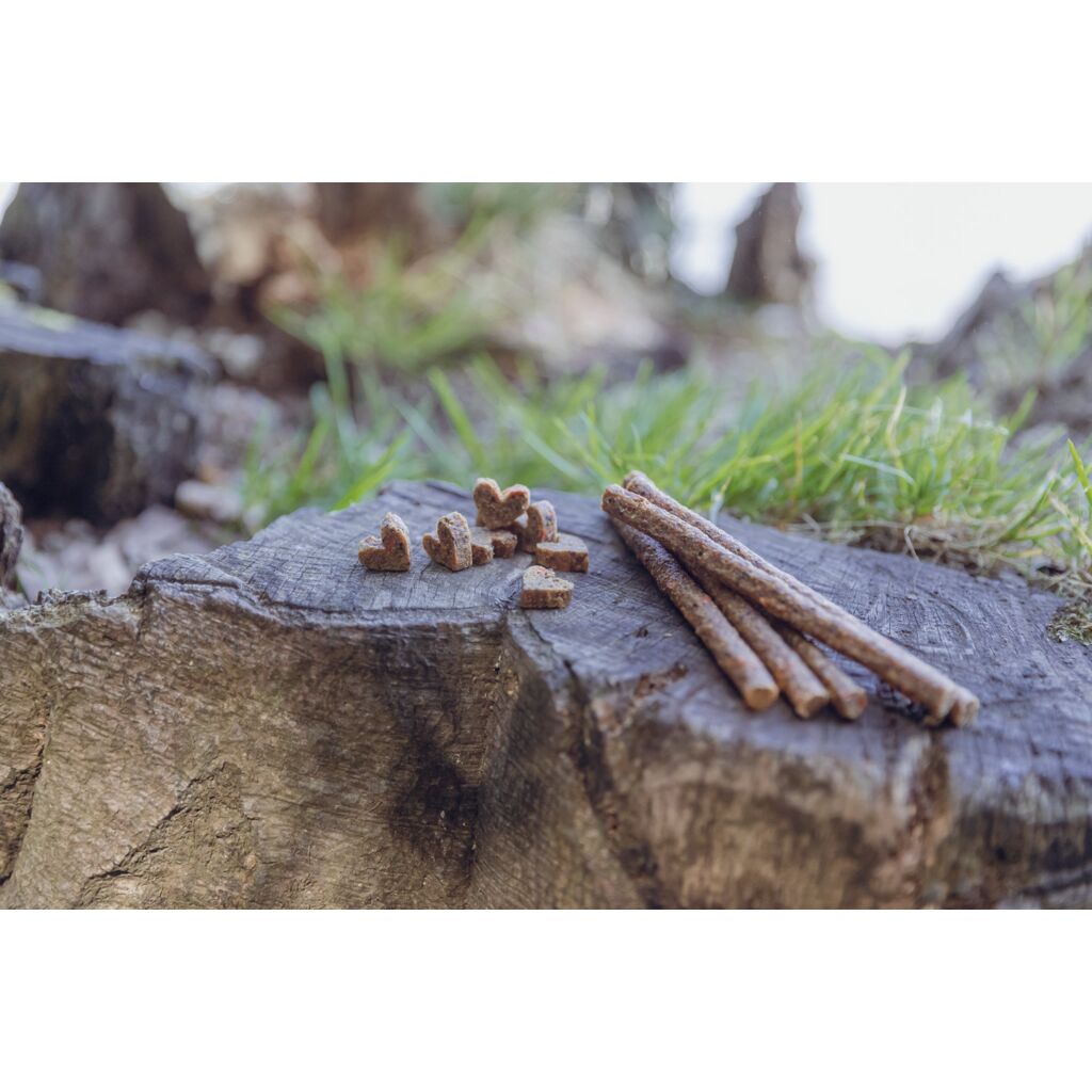 Insect Hearts-Pfoten Feinstes