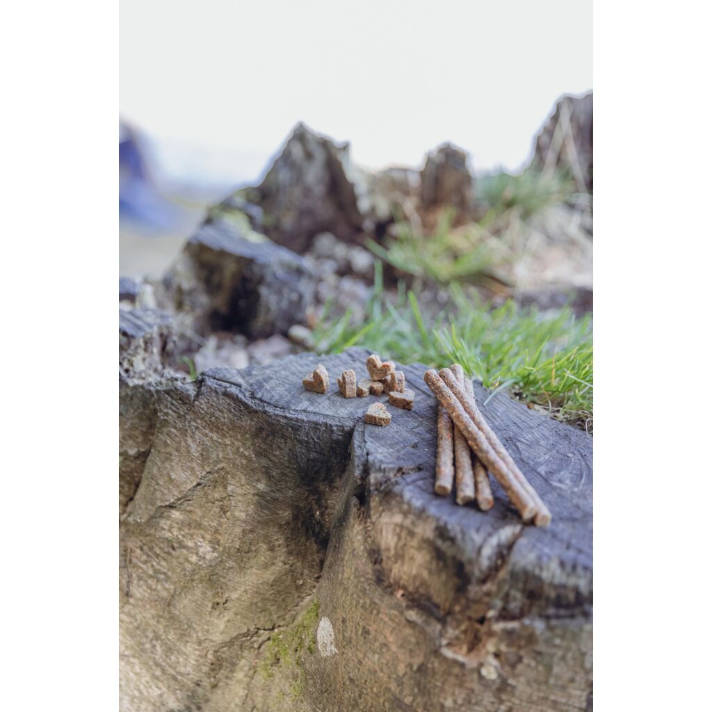 Insect Sticks-Pfoten Feinstes